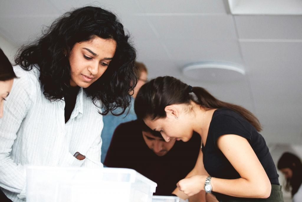 En grupp människor som tittar ner på något de arbetar med.