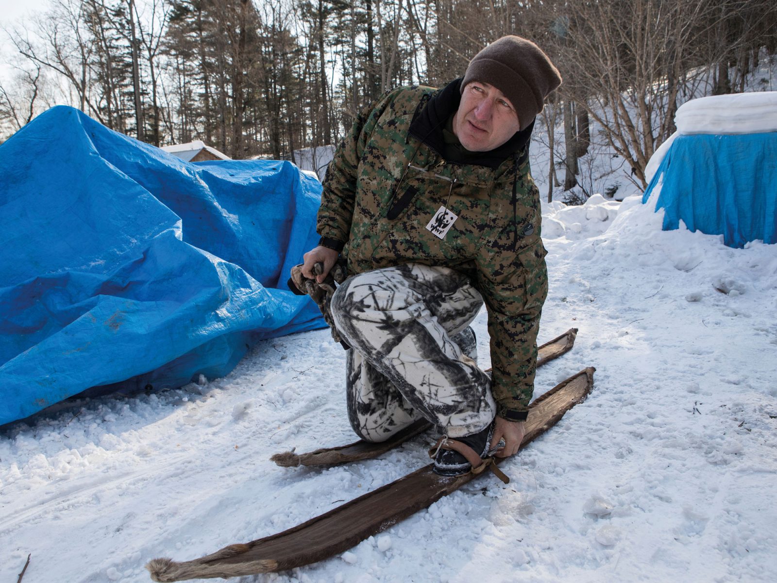 Man dressed in warm clothes and woolly hat putting on old-fashioned skis in snow-covered landscape, in front of blue tents.
