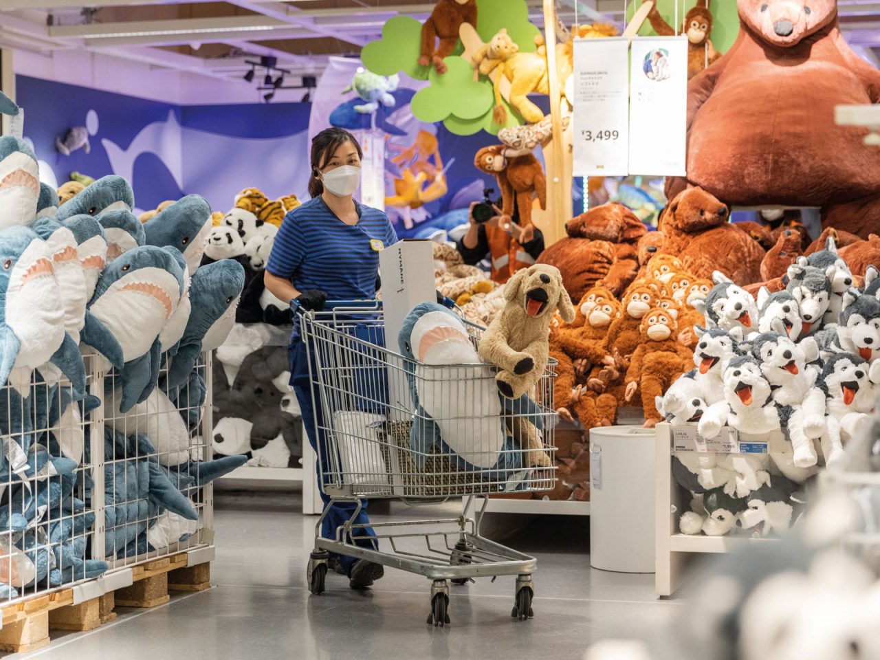大量のぬいぐるみを積んだショッピングカートを押しながら子ども用品売り場を歩く黒髪のコワーカー。