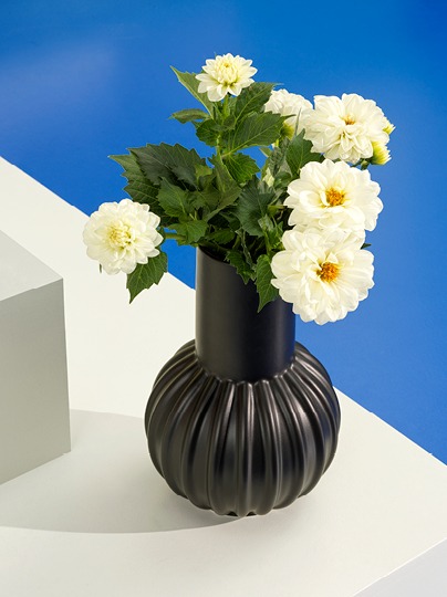 Black vase holding white and yellow flowers.