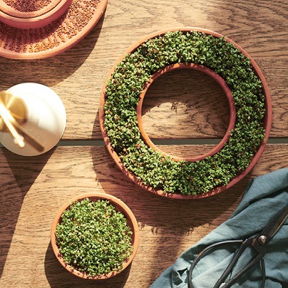 Round sprouting dishes, one with a hole in the centre, made of terracotta, DAKSJUS.