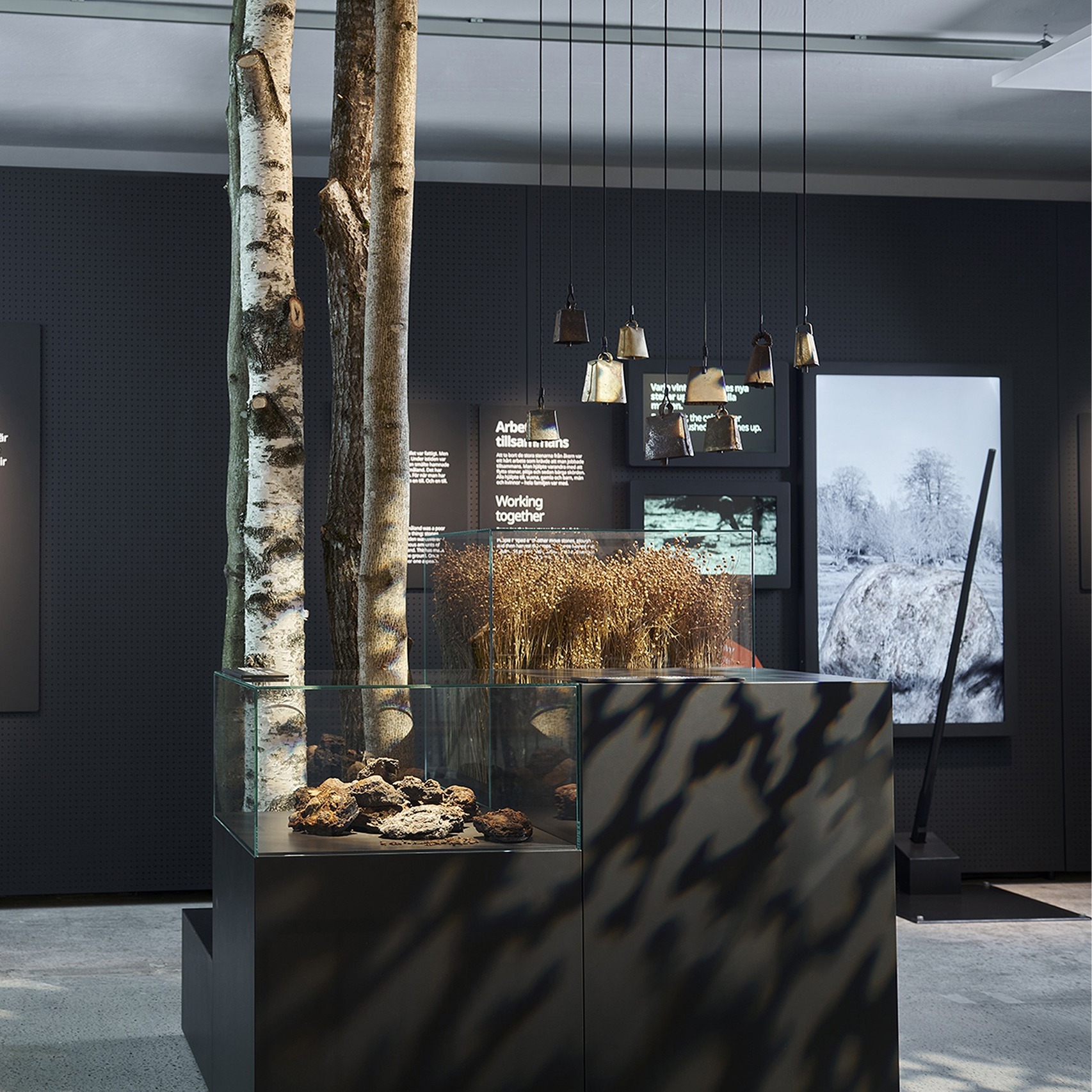 Exhibition display featuring birch trunks, a glass case with natural objects, and bells.